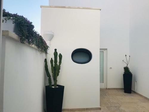 La Casa Di Bacco B&B