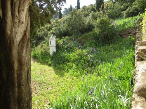 Casa Burgu�s
