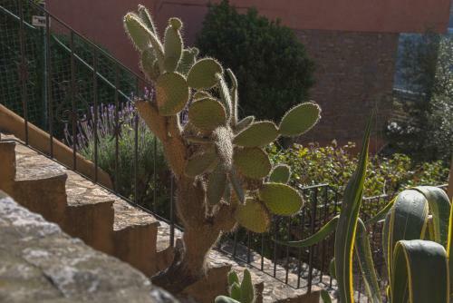 Apartamento Corti-mori Sa Riera