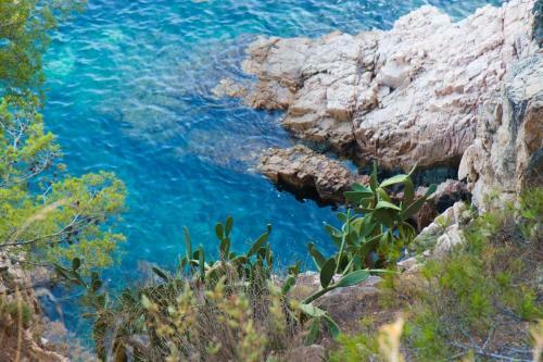 Country Camp Camping Begur