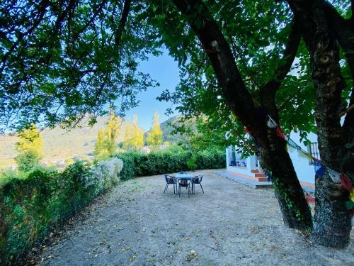 Stay Wild En Las Casitas de Huerta Arriba
