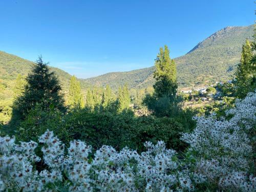 Stay Wild En Las Casitas de Huerta Arriba