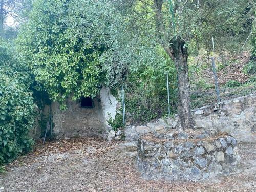 Stay Wild En Las Casitas de Huerta Arriba