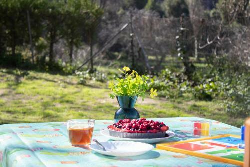 Stay Wild En Las Casitas de Huerta Arriba