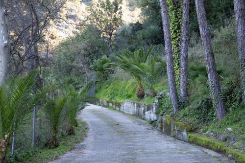 Stay Wild En Las Casitas de Huerta Arriba