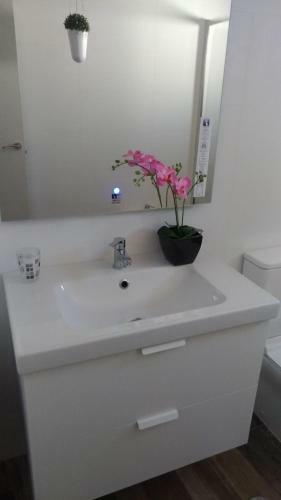 Apartamentos Playa Y Golf