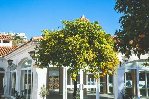 Casa Para 10 Personas En Campo de Golf A�oreta