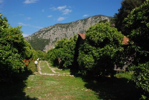 Hostal Olympos Deep Green Bungalows
