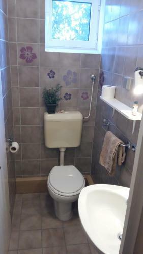 Apartamentos House Kate