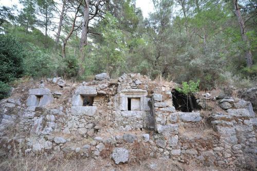 Hostal Olympos Koyevi Pension