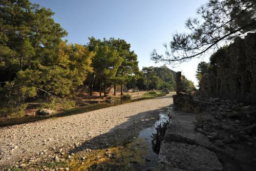 Hostal Olympos Koyevi Pension