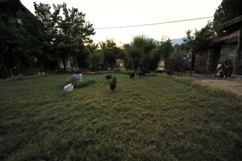 Hostal Olympos Koyevi Pension