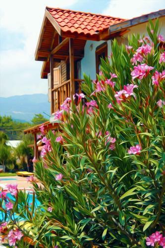 Hostal Olympos Koyevi Pension