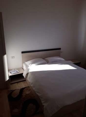 Hostal Pensiunea Alexandra Livia
