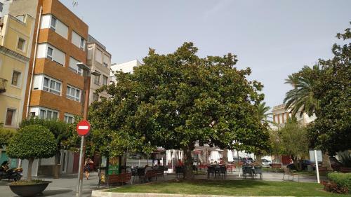 Apartamento Estudios Placeta Dels Bous - Plaza Constituci�n