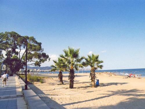 Apartamento Espacioso En Segunda Linea De Playa