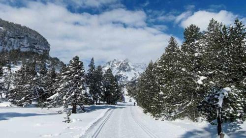 Apartamento Up Benasque El Grito De Tarzan