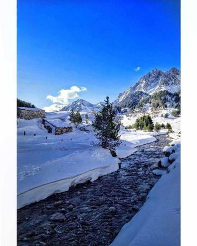 Apartamento Up Benasque El Grito De Tarzan