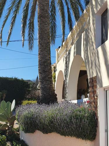 Bed & Breakfast Finca Los Bancales