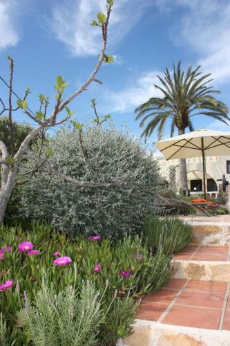 Bed & Breakfast Finca Los Bancales