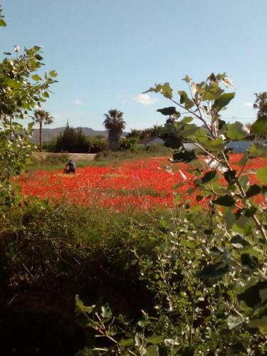 Bed & Breakfast Beautiful Benissa Views
