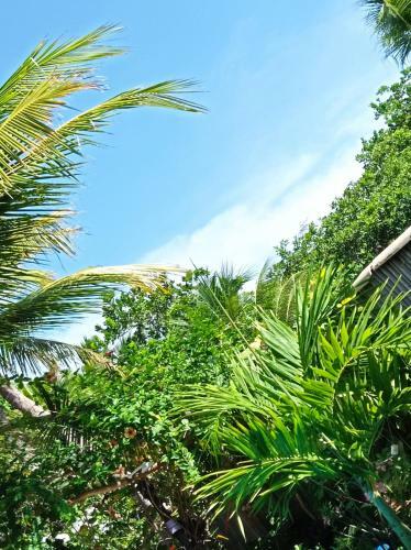 Lodge Chal� Caminho Dos Len��is