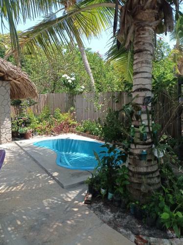 Lodge Chal� Caminho Dos Len��is