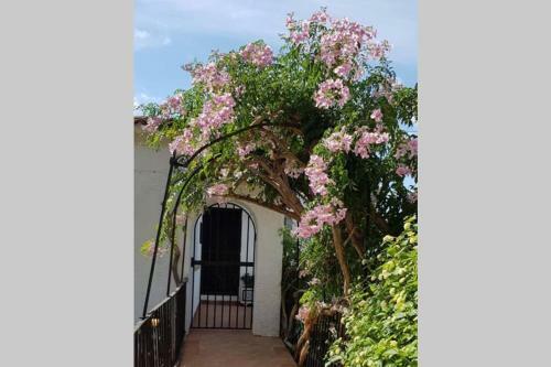 Fabulous Refurbished Apartment Above Private Villa