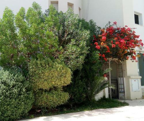 Apartamento Happy House Ennasr