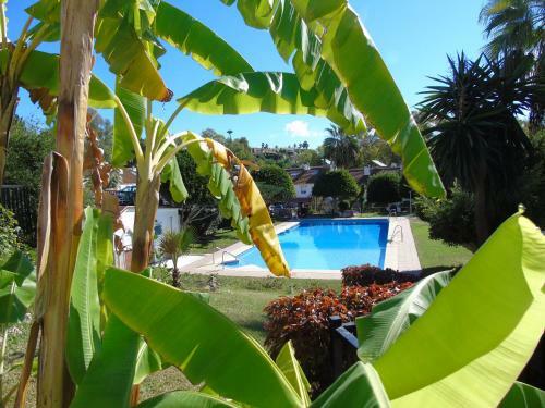 Hostal Torrequebrada Golf & Beach Guesthouse
