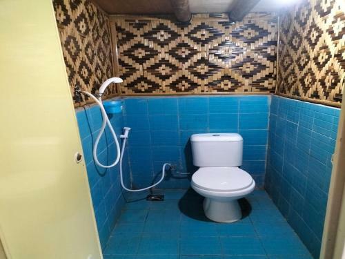 Vila Salma Ciwidey