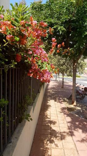 Apartamentos Costa Quebrada Residencial 1