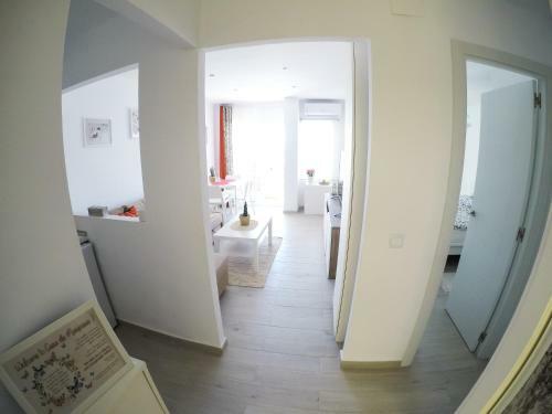 Apartamento Casa De Mariposas