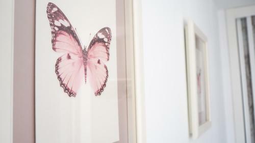 Apartamento Casa De Mariposas