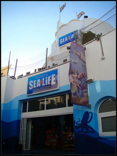Apartamento Benalmadena Costa Sol Holiday Rentals