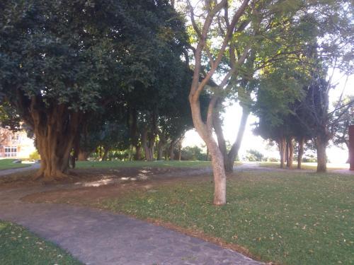 Apartamento Aguila 110
