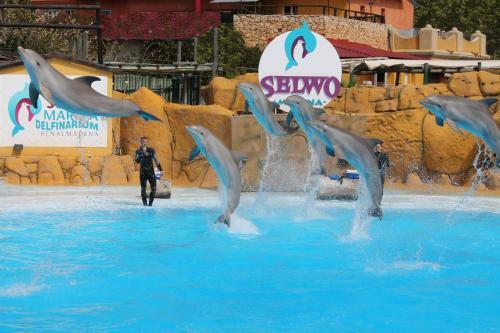 Apartamento Puerto Marina Sun&beach