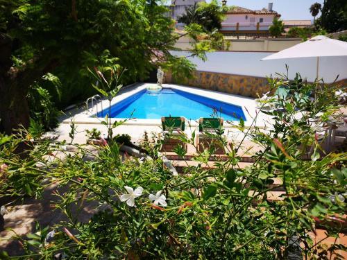 ***bonito Estudio Central Con Jard�n Y Piscina***