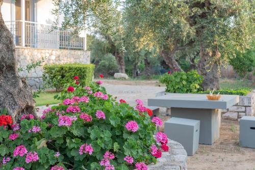 Tassos Apartments