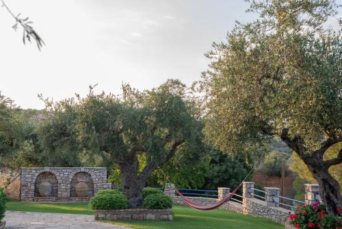 Tassos Apartments