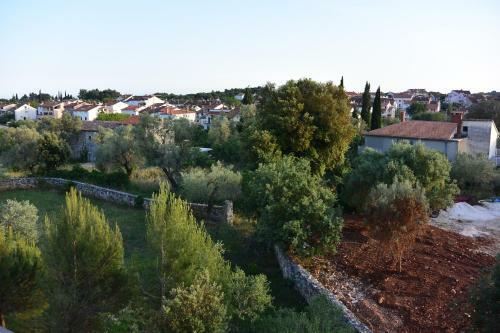Apartments Residence L'ulivo