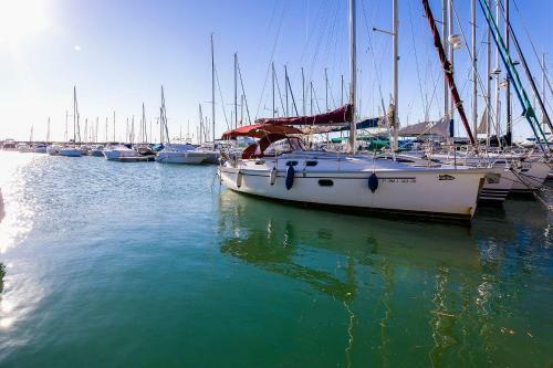 Luxury Apartament In Marina
