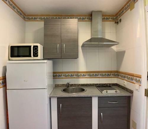 Apartamento Benalbeach Vista Al Mar