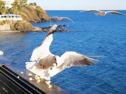Apartamento Malib� Playa