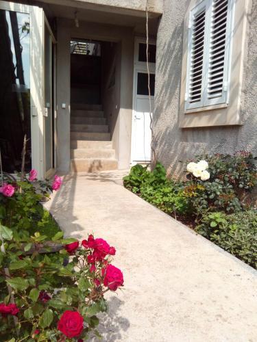 Dubrovnik Apartment Nepe