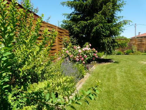 Rose Garden