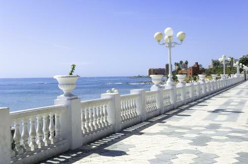 Benalbeach Luxury Studio Apartment