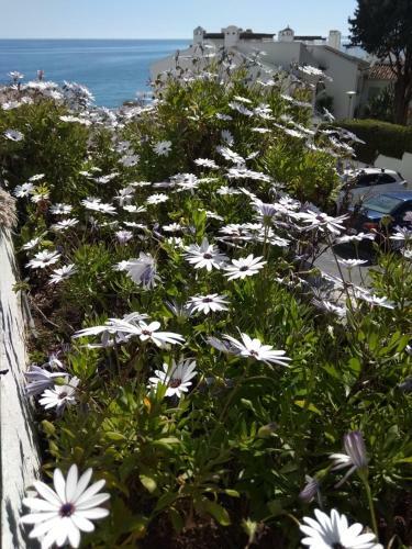 Espectacular Apartamento En Primera L�nea De Playa