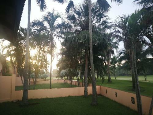 Green Olive Villa Amata Spring Golf