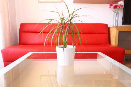 Apartamento Bordeta